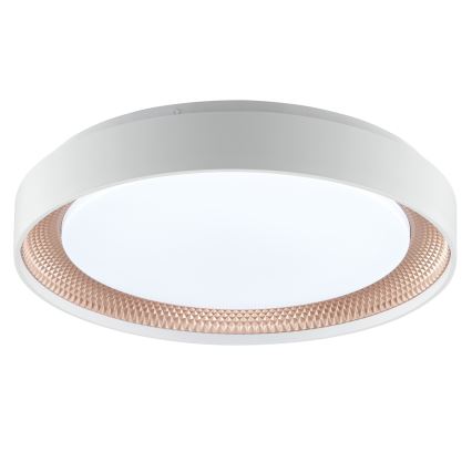 Brilliant - Plafonnier LED dimmable WALDO LED/24W/230V 3000-6500K Ø 38,5 cm blanc/or rose + télécommande