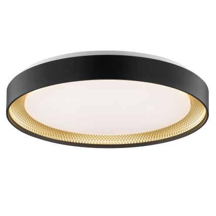 Brilliant - Plafonnier LED dimmable WALDO LED/36W/230V 3000-6500K Ø 48,5 cm noir/doré + télécommande