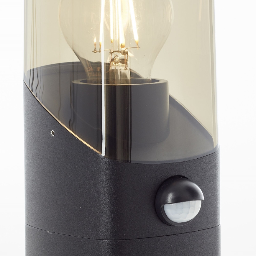 Brilliant - Sensorlamp voor buiten MINOU 1xE27/10W/230V IP44 zwart/gerookt