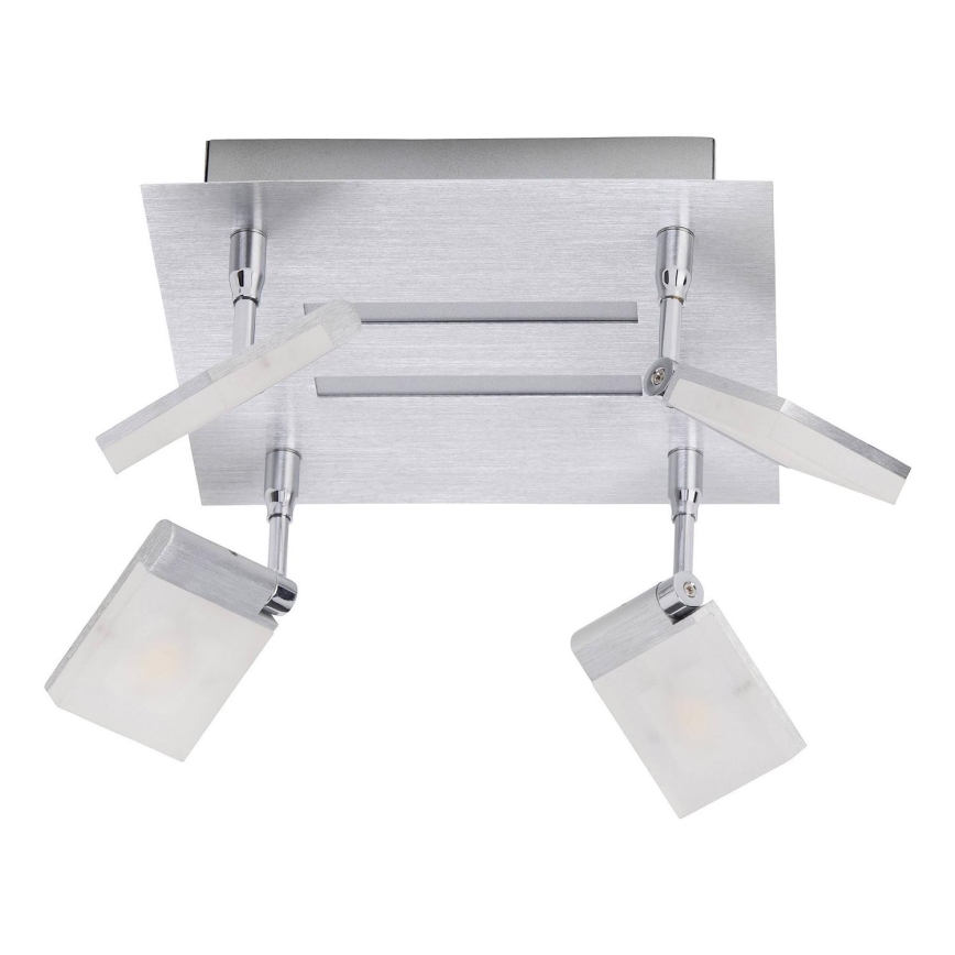 Brilliant - Spot LED PLAXICO 4xLED/6W/230V