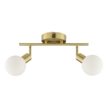 Brilliant - Spotlamp JORGE 2xG9/10W/230V messing