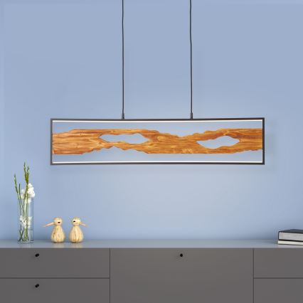 Brilliant - Suspension filaire CHAUMONT LED/20W/230V pin