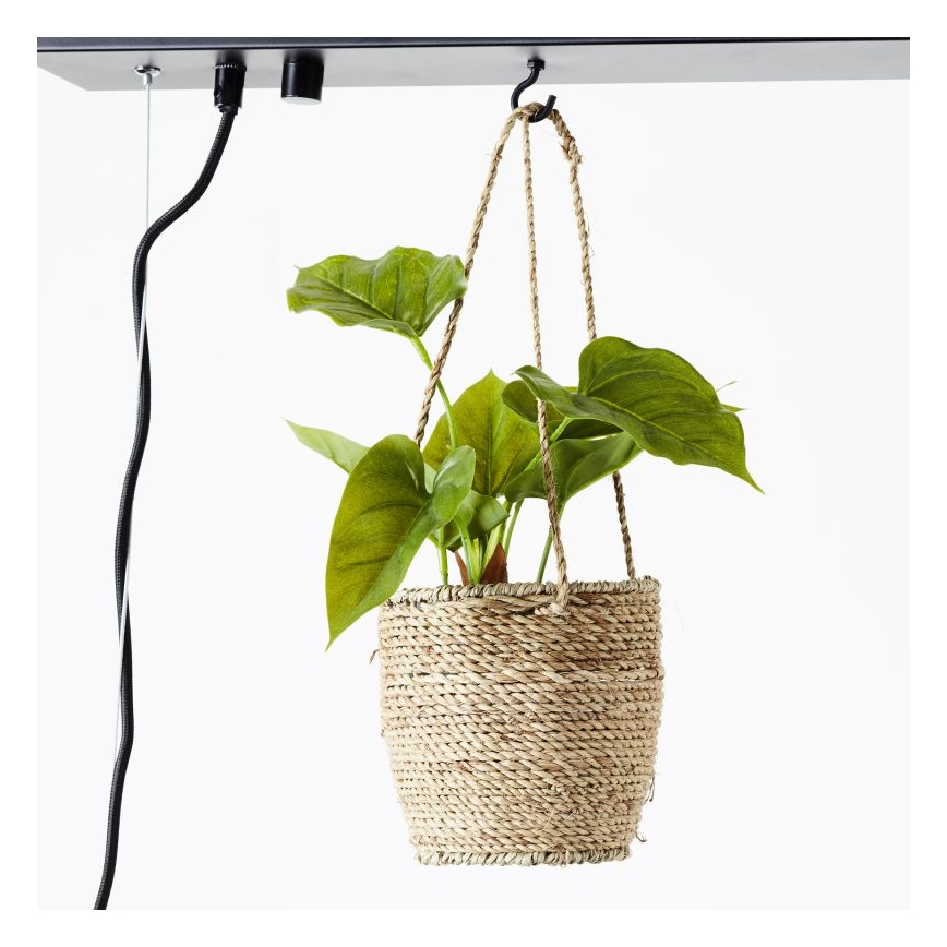 Brilliant - Suspension sur câble BANKWOOD 5xE27/28W/230V peuplier