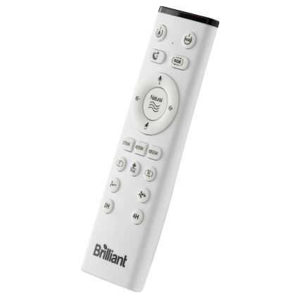 Brilliant - Ventilateur de plafond dimmable LED RGBW avec lumière FANORA LED/30W/230V 2700-6500K Ø 46 cm noir + télécommande