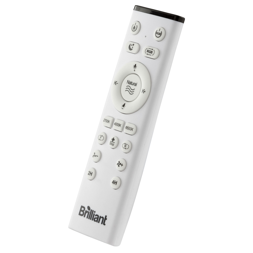 Brilliant - Ventilateur de plafond dimmable LED RGBW avec lumière FANORA LED/30W/230V 2700-6500K Ø 46 cm noir + télécommande