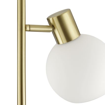 Brilliant - Vloerlamp CONY 1xE14/20W/230V messing