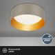 Brilo 3482-011 - LED Plafondlamp MAILA STARRY LED/12W/230V bruin/goud