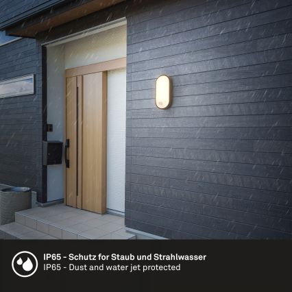 Brilo - Applique murale d'extérieur LED avec capteur de mouvement et de crépuscule RUCH LED/12W/230V IP65 noire