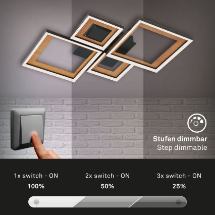 Brilo - Dimbare LED bevestigde hanglamp FRAME LED/38W/230V