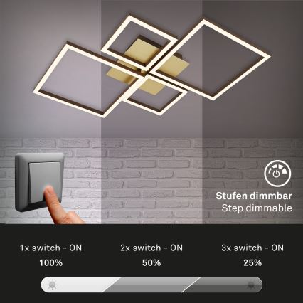 Brilo - Dimbare LED bevestigde hanglamp FRAME LED/44W/230V