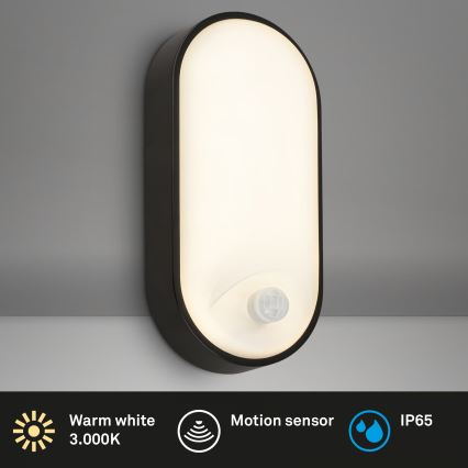 Brilo - LED buitenmuurlamp met bewegings- en schemersensor RUCH LED/12W/230V IP65 zwart