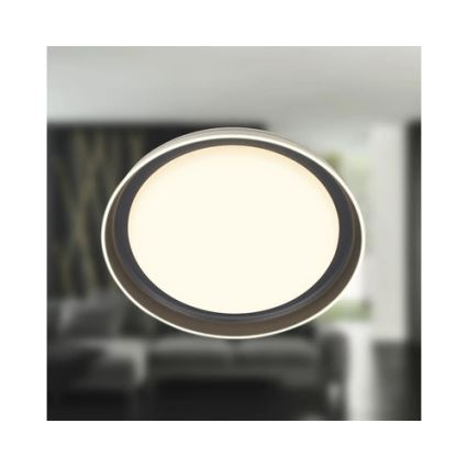 Brilo - LED-plafondlamp IJUS LED/24W/230V 3000K Ø 43 cm