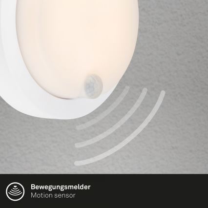 Brilo - Oplaadbare LED-muurlamp voor buiten met bewegingssensor LED/4W/5V 4400 mAh IP44 wit