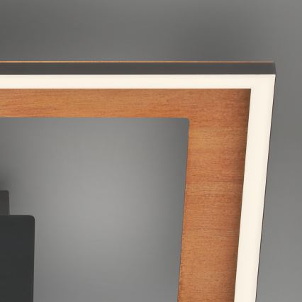 Brilo - Plafonnier à intensité variable FRAME 2xLED/11W/230V