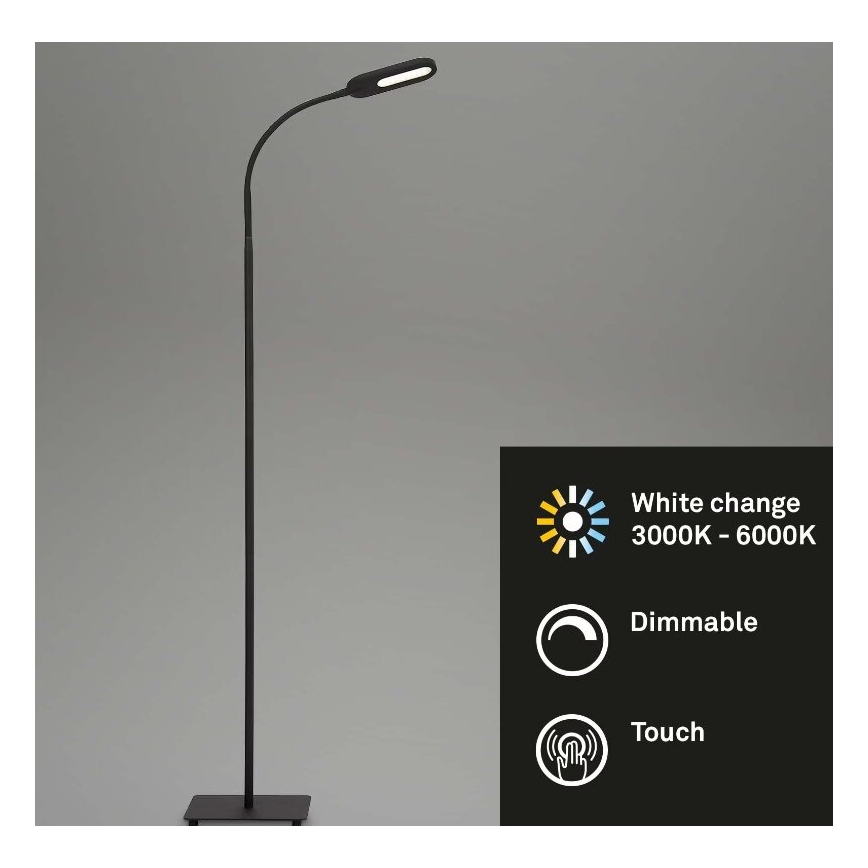 Briloner 1297-015 - LED dimbare flexibele vloerlamp LED/6,6W/230V 3000K/4000K/6000K