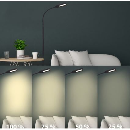 Briloner 1297-015 - LED dimbare flexibele vloerlamp LED/6,6W/230V 3000K/4000K/6000K