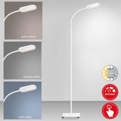 Briloner 1297-016 - LED Dimbaar aanraken Staande lamp LED/8W/230V 3000/4000/6000K