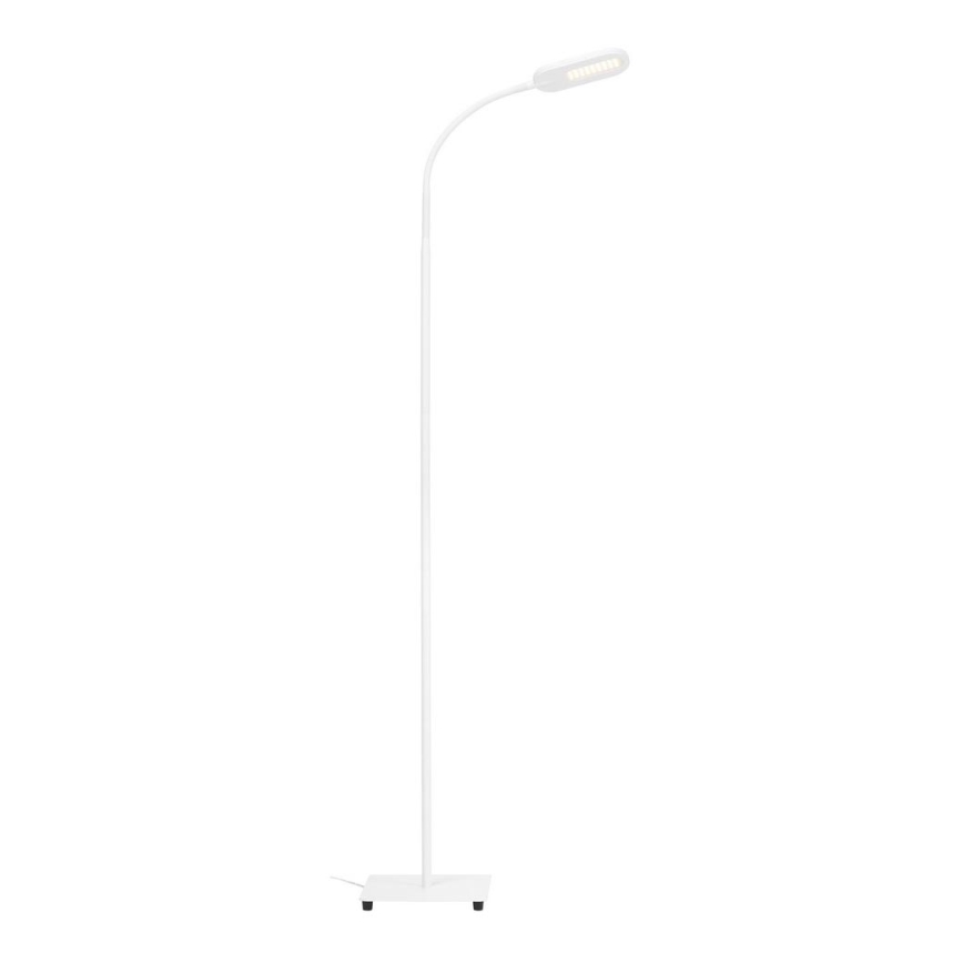 Briloner 1297-016 - Lampadaire à intensité variable LED/8W/230V 3000/4000/6000K