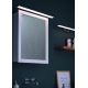 Briloner 2060-018 - Éclairage LED pour miroir salle de bain SPLASH LED/10W/230V IP23