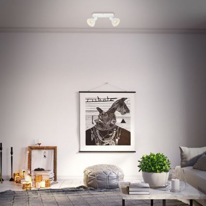 Briloner 2674-026 - Spot RETRO 2xE14/25W/230V blanc