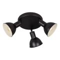 Briloner 2674-035 - Spot RETRO 3xE14/25W/230V noir