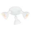 Briloner 2674-036 - Spot RETRO 3xE14/25W/230V blanc