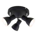 Briloner 2860-035 - Spot d'éclairage CUP 3xE14/25W/230V noir