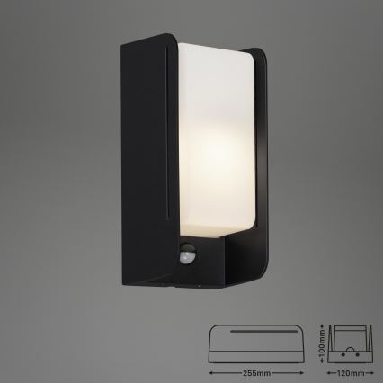 Briloner 3017-015 - Wandlamp voor Buiten met Sensor 1xE27/12W/230V IP44