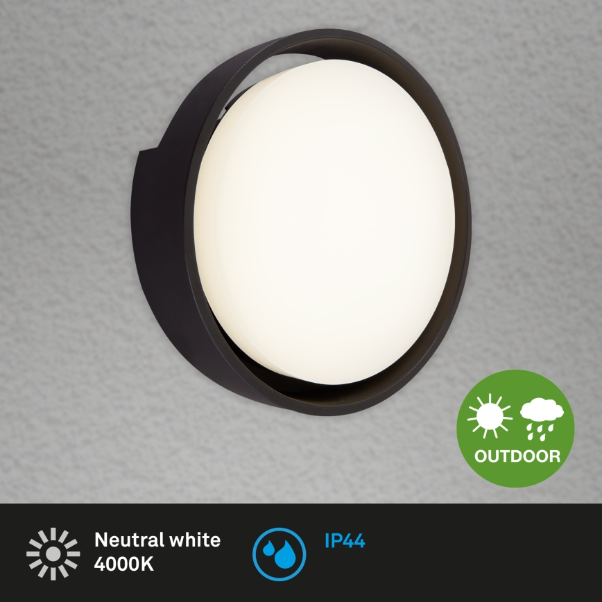 Briloner 3019-015 - Applique murale LED d'extérieur GENUA LED/18W/230V IP44 noir