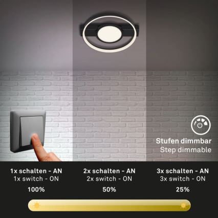 Briloner 3026-015 - Plafonnier à intensité variable LED FRAME LED/33W/230V