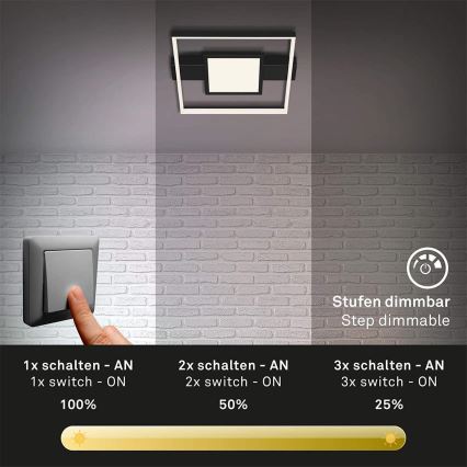 Briloner 3028-015 - Plafonnier à intensité variable LED FRAME LED/38W/230V