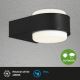 Briloner 3035-015 - LED Wandlamp voor buiten HANAU LED/6,5W/230V IP44 zwart