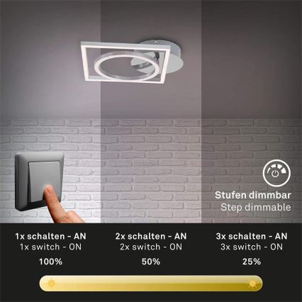 Briloner 3114-018 - Plafonnier à intensité variable FRAME LED/19,6W/230V 3000K