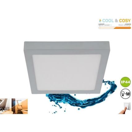 Briloner 3142-018 - LED Badkamerplafondlamp COOL&COSY LED/21W/230V 2700/4000K IP44