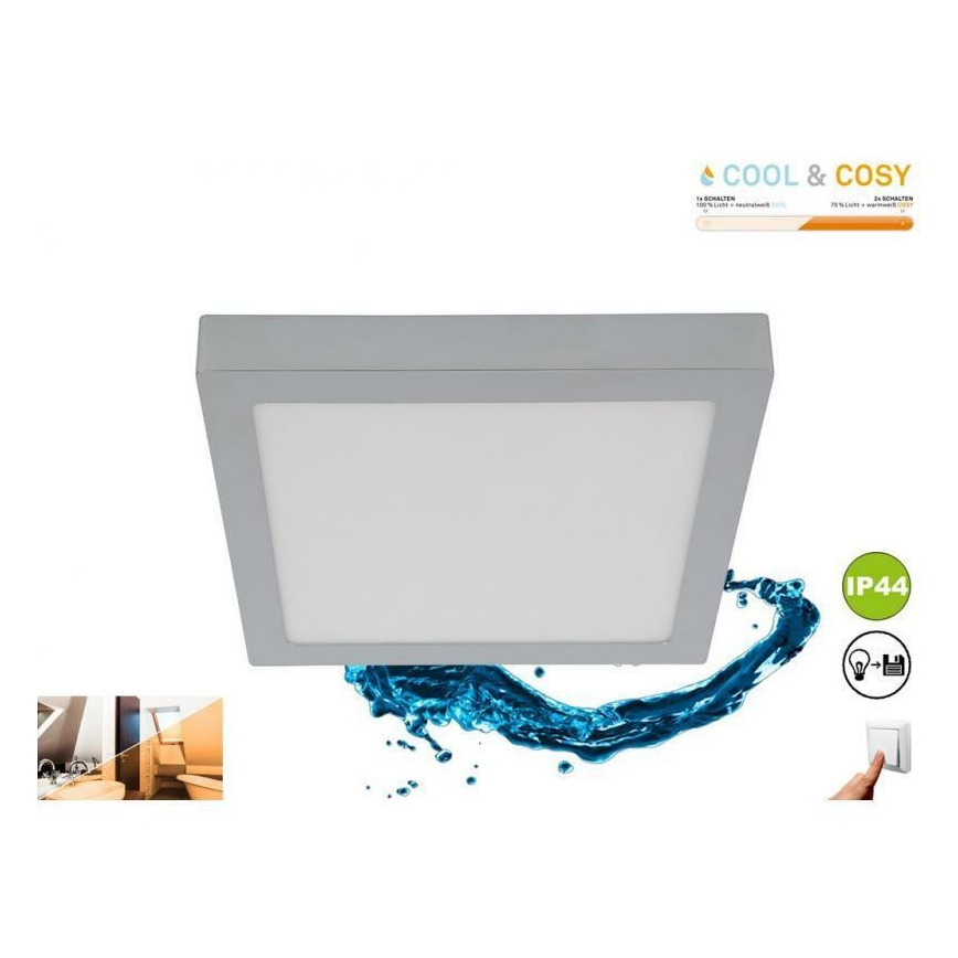 Briloner 3142-018 - LED Badkamerplafondlamp COOL&COSY LED/21W/230V 2700/4000K IP44