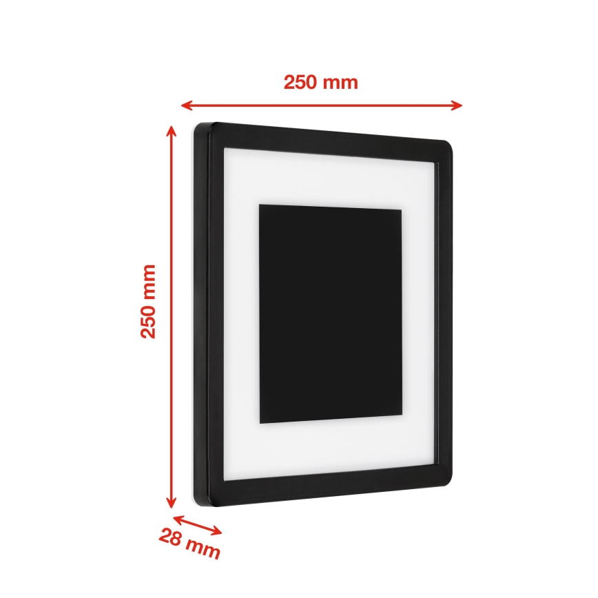 Briloner 315905TF - LED Wandlamp voor buiten LED/15W/230V IP44 4000K zwart