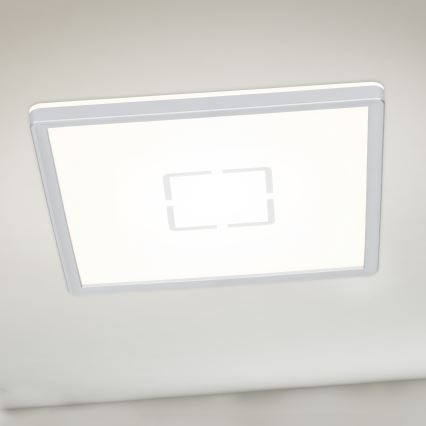 Briloner 3174-014 - LED Plafond Lamp FREE LED/12W/230V 19x19 cm