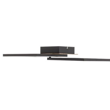 Briloner 3210-014 - Dimbare LED Plafondlamp FRAME 2xLED/11W/230V bruin