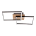 Briloner 3210-014 - Plafonnier à intensité variable FRAME 2xLED/11W/230V marron