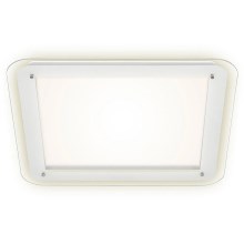 Briloner 3397-016 - LED Plafondlamp FREE LED/22W/230V