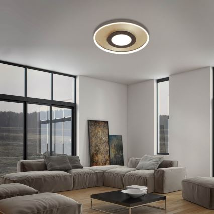 Briloner 3640017 - LED dimbare plafondlamp FRAME LED/25W/230V 2700-6500K + afstandsbediening