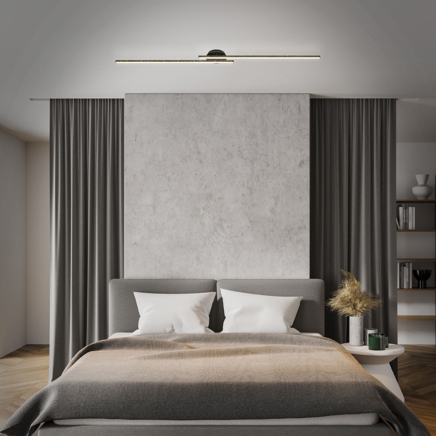 Briloner 3717-025 - Plafonnier LED REY 2xLED/12W/230V noir