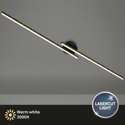 Briloner 3717-025 - Plafonnier LED REY 2xLED/12W/230V noir
