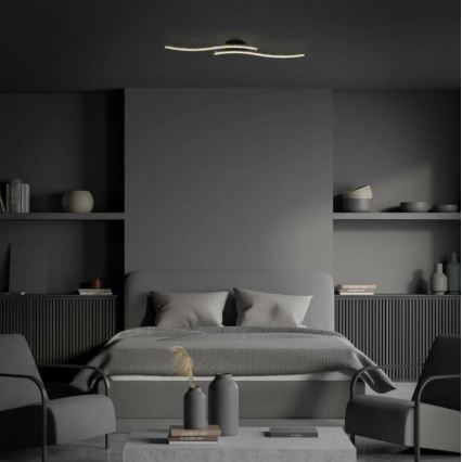 Briloner 3718-025 - LED Bevestigde Hanglamp REY 2xLED/6W/230V zwart