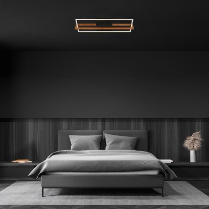 Briloner 3777-015 - Plafonnier LED FRAME LED/21W/230V 3000K