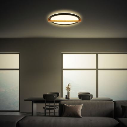 Briloner 3844015 - LED-plafondlamp, 18 W, 230 V, Ø 31,5 cm