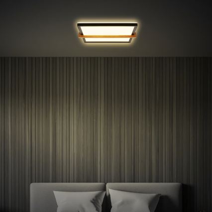 Briloner 3845015 - LED plafondlamp LED/18W/230V 29,5x31,5 cm