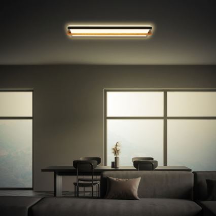 Briloner 3846015 - Plafonnier LED REMSA LED/22W/230V 3000K 60,5x20 cm noir