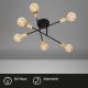 Briloner 3868-065 - Bevestigde hanglamp BLACK STEEL 6xE27/60W/230V