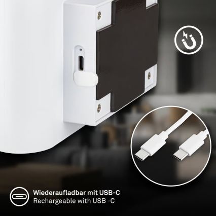 Briloner 3878016 - Applique murale LED rechargeable CHAT avec détecteur de mouvement et détecteur crépusculaire LED/3W/5V 2000 mAh blanche
